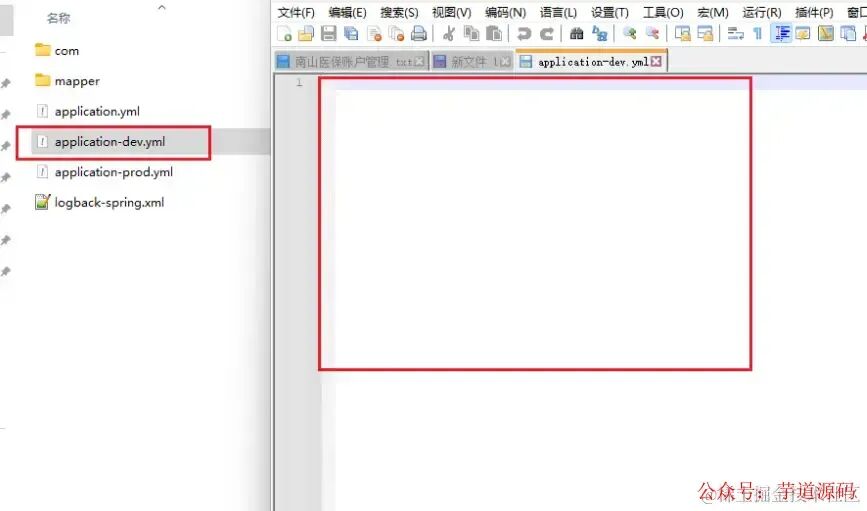 加密后application-dev.yml已变为空白