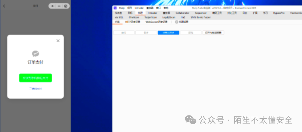 复制整个成功响应包的Burp Suite界面
