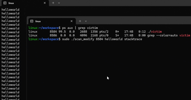 未注入 mprotect 时 process_vm_writev 返回 Bad address 错误