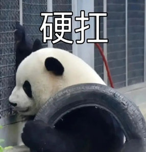 熊猫硬扛表情包