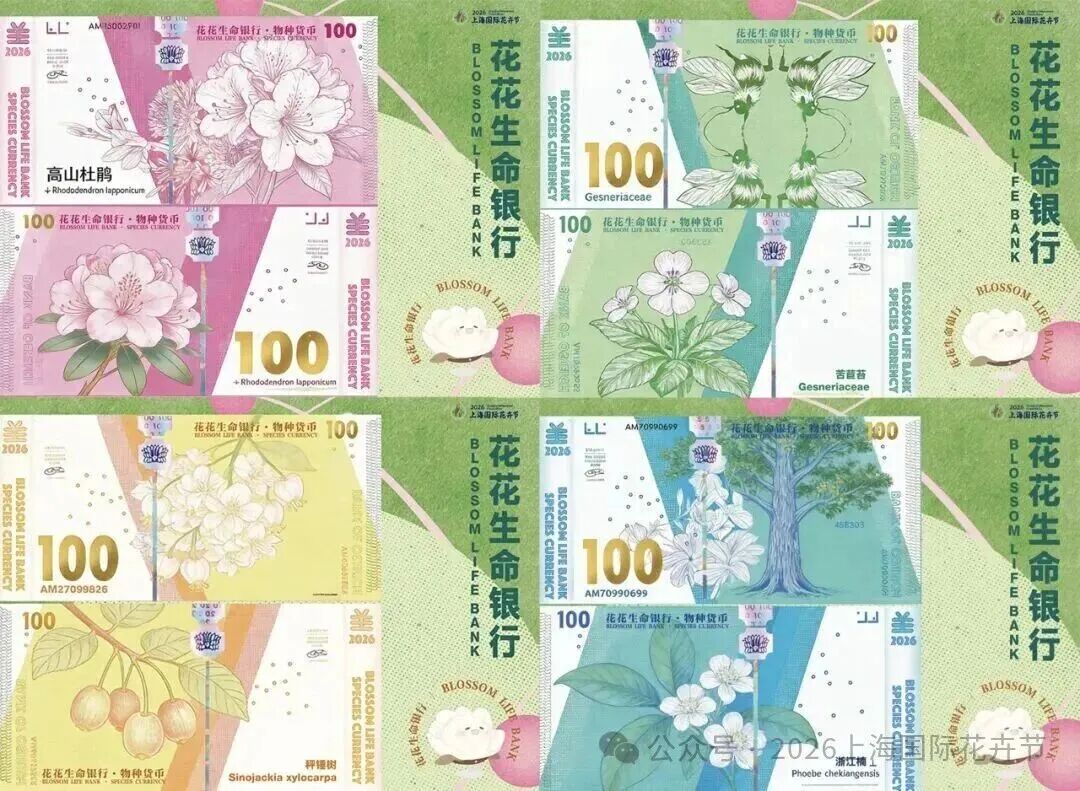 花花生命银行物种货币设计