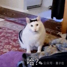 一只表情困惑的猫,仿佛在质疑CUDA真的被复刻了吗