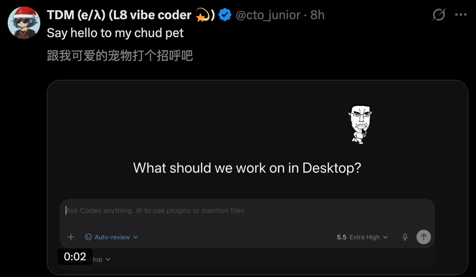 用户展示Codex宠物