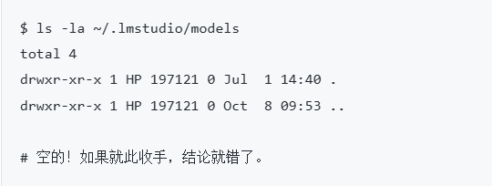 LM Studio模型目录检查显示为空