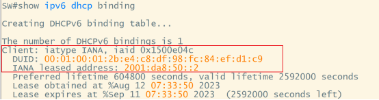 交换机show ipv6 dhcp binding输出,客户端获取到2001:da8:50::2地址