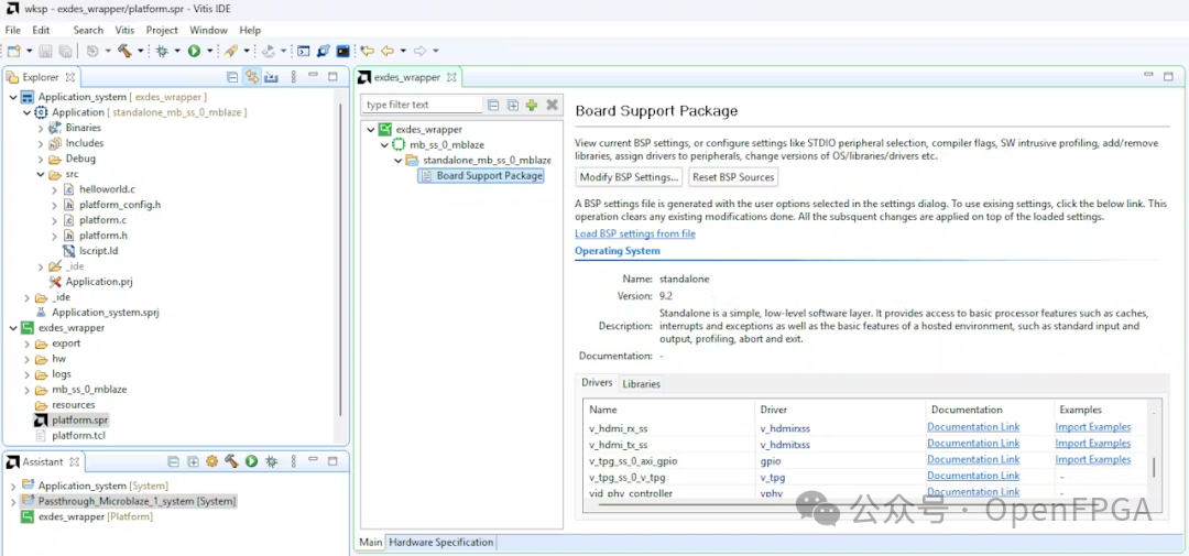 Vitis BSP设置界面