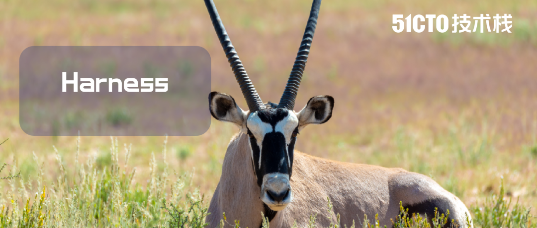 Harness概念形象图：一只立于原野的长角羚