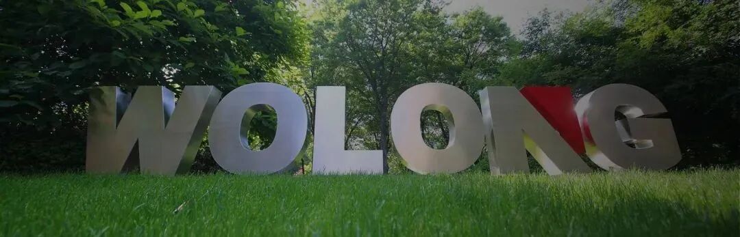 卧龙集团户外金属字母雕塑"WOLONG"