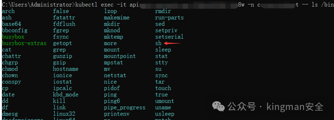 查看容器内/bin目录