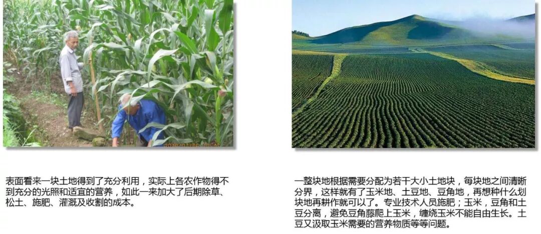 农耕与微服务理念类比:合理划分土地区块