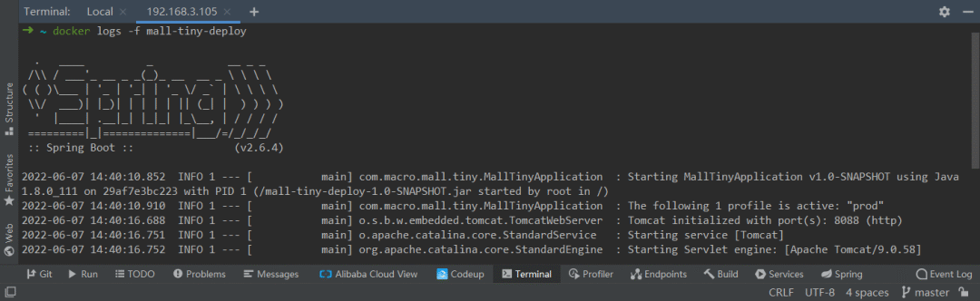SpringBoot应用在Docker容器中的启动日志