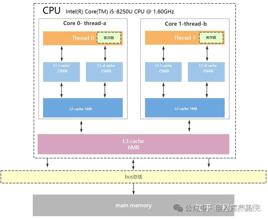 Intel i5-8250U多核CPU缓存层次架构示意图