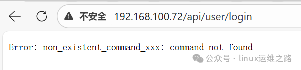 浏览器访问接口返回500错误页面