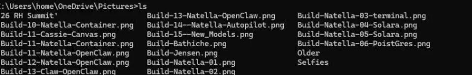 Windows CMD 中使用 ls 命令列出的文件与目录列表