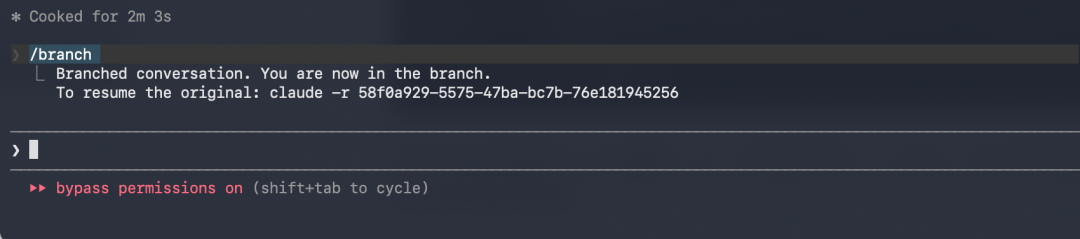 执行/branch命令后，终端显示已创建分支并给出恢复原会话的命令