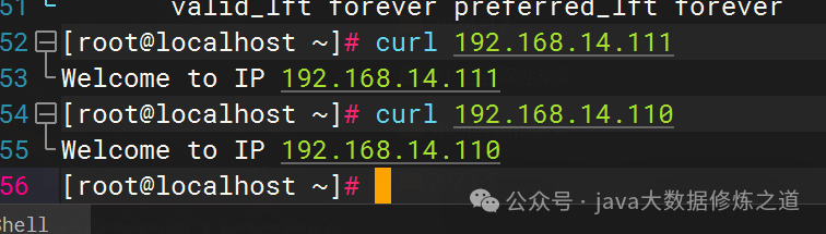 终端执行 curl 命令访问不同 IP 地址,返回相应 IP 专属欢迎语的测试结果