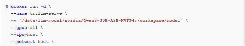 Docker启动命令截图:含挂载路径、GPU参数、网络模式及trtllm-server启动参数