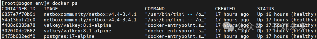 Docker 容器运行状态