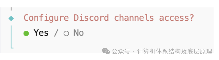 确认配置Discord频道访问
