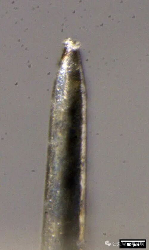 钨丝针尖的显微镜特写