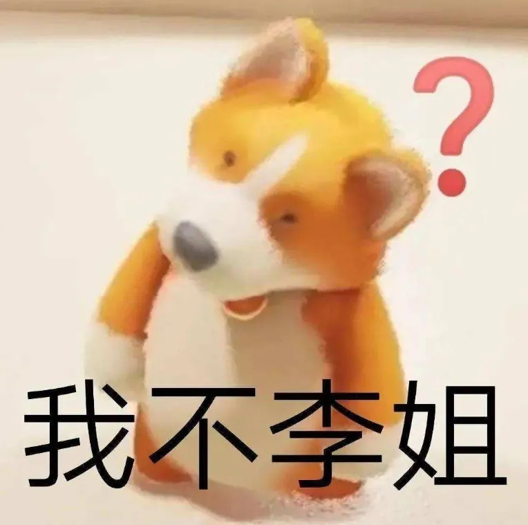 柯基疑惑表情