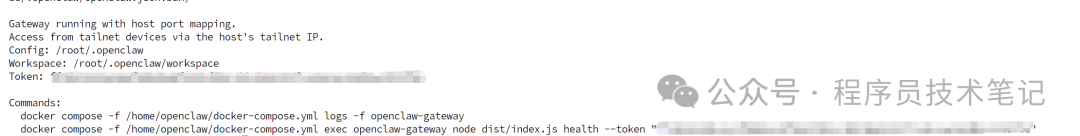 部署成功，显示网关运行信息与访问令牌