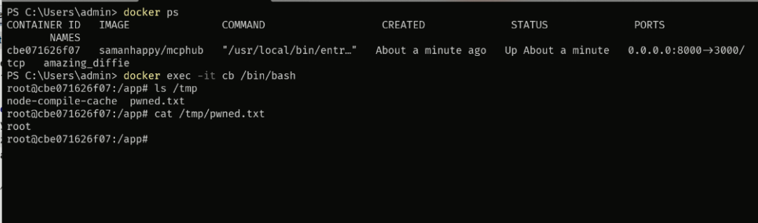 进入容器验证命令执行结果的终端截图