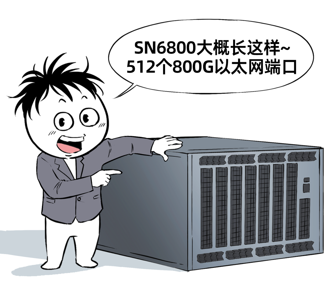NVIDIA SN6800交换机概念图