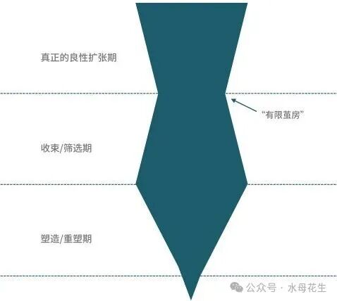 从良性扩张到重塑的漏斗模型图