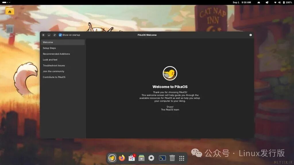 PikaOS系统欢迎桌面
