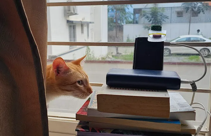 橘猫坐在窗台上，旁边是书籍和电子设备