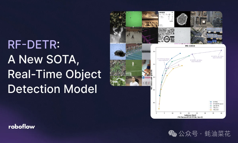 RF-DETR SOTA 实时目标检测模型性能对比