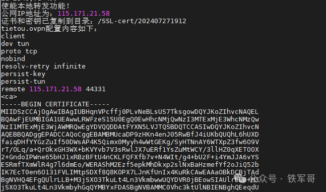 生成的OpenVPN客户端配置文件内容