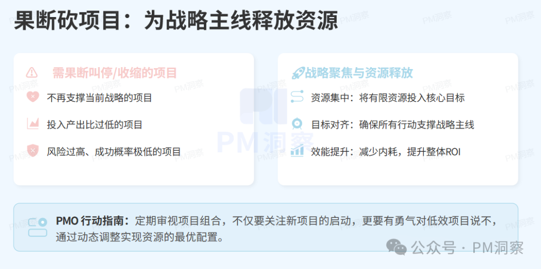 项目裁剪与战略聚焦指南图