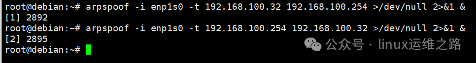 执行ARP欺骗命令后台运行