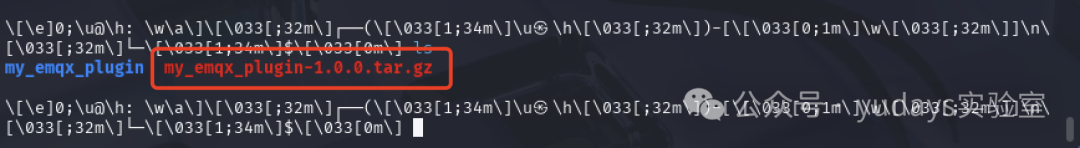 复制生成的插件包