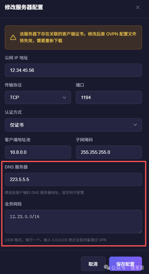 OpenVPN服务器配置界面,展示DNS与业务网段设置