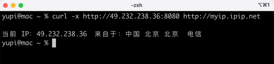 使用curl命令通过代理查询IP的终端截图