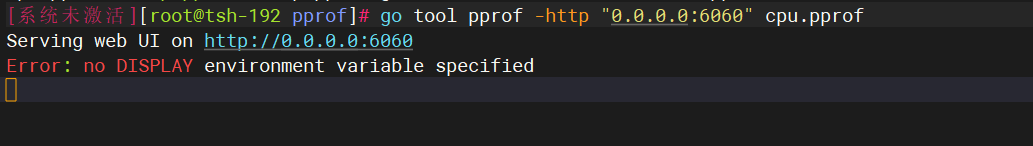 启动pprof Web UI时可能遇到的DISPLAY环境变量错误提示
