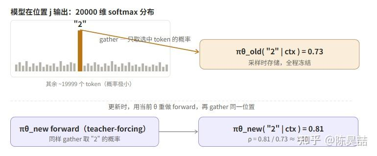 如何从20000维分布中gather出选中token的概率