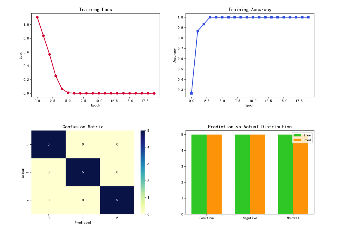 Bi-LSTM 情感分析模型训练可视化