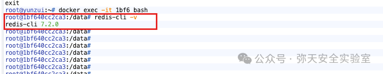 Redis版本确认命令输出
