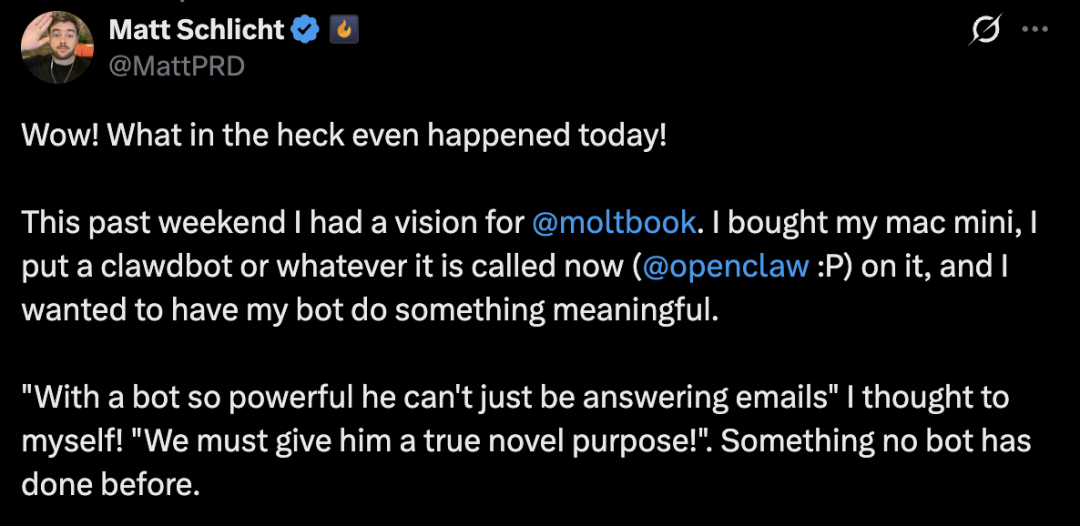 Matt Schlicht关于实验初衷的推文截图