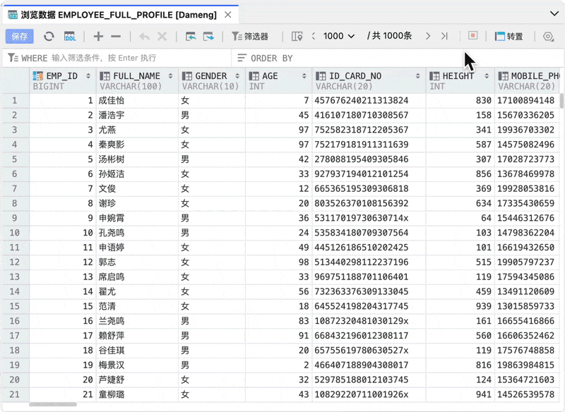 SQLark 大表数据浏览界面