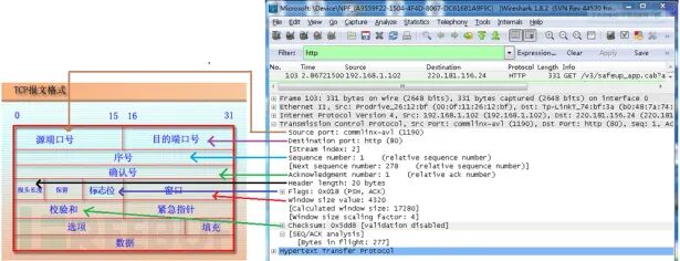 Wireshark TCP头部字段解析