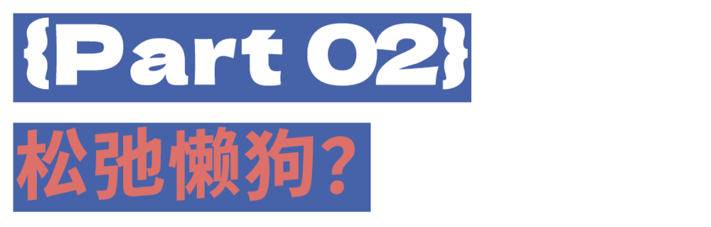 章节标题：松弛懒狗？