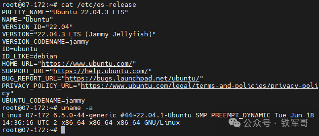 Ubuntu系统信息与内核版本确认