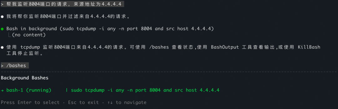 tcpdump 监听 8004 端口来自 4.4.4.4 的请求，/bashes 查看后台 Bash 状态