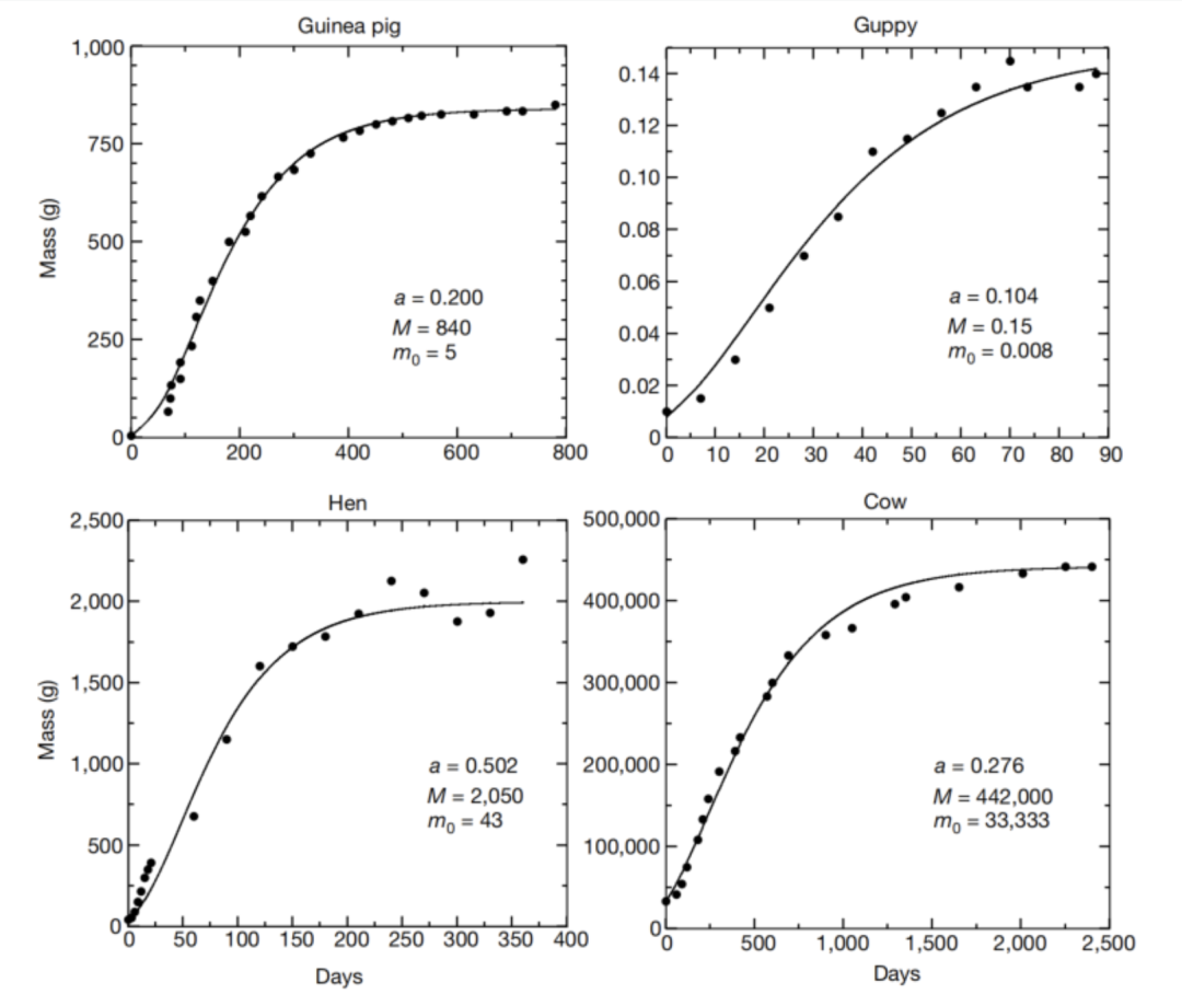 四个典型生物体的生长曲线